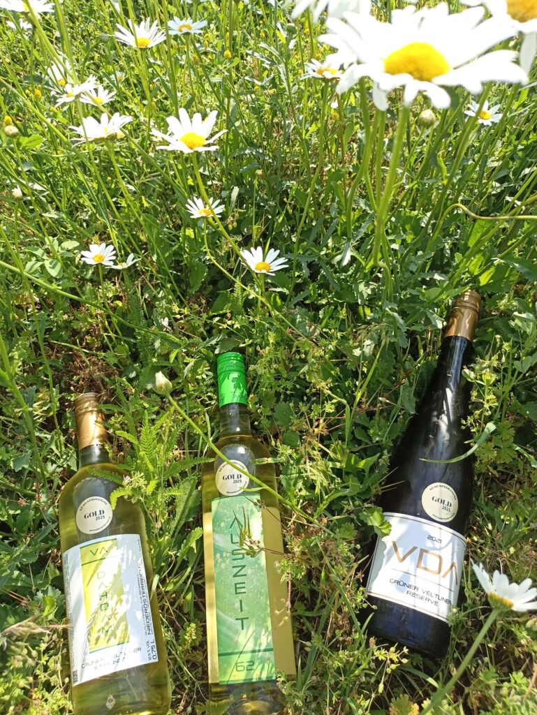 Drei prämierte Weinflaschen mit der Auszeichnung Gold Niederösterreich in einer Blumenwiese mit Margeriten.